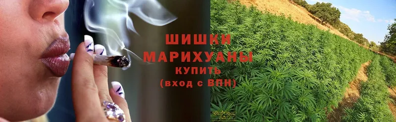 мега рабочий сайт  как найти закладки  мориарти состав  МАРИХУАНА Ganja  Белёв 